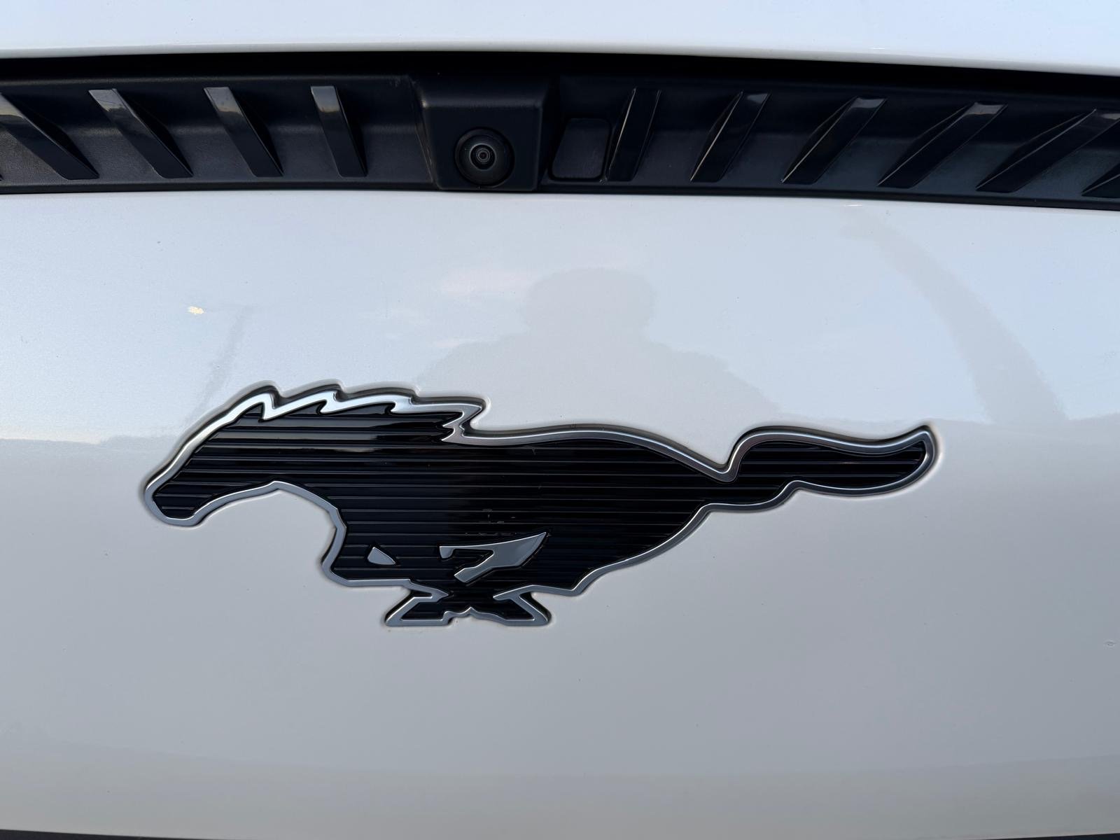 Ford Mustang Mach-E Standard - imagem 13